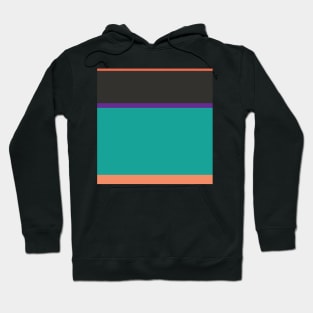 An elegant farrago of Light Red Ochre, Faded Orange, Christmas Purple, Blue/Green and Dark Grey stripes. Hoodie